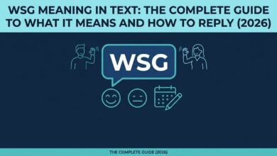 wsg meaning in text 