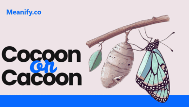 Cocoon or Cacoon