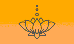 The Lotus Flower