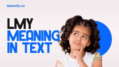 lmy meaning in text