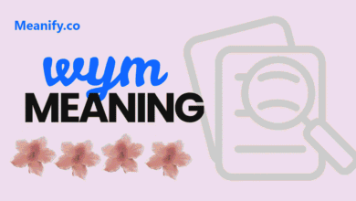 wym meaning