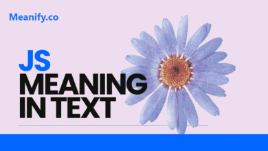 JS Meaning in Text