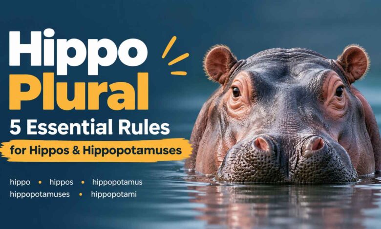 Hippo Plural: Hippos, Hippopotamuses, or Hippopotami?