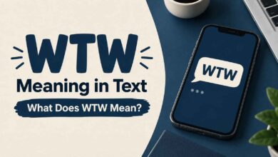 WTW Meaning in Text: What It Really Means