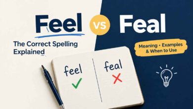 Feel vs Feal: The Correct Spelling Explained