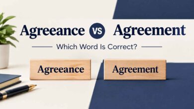 Agreeance vs Agreement: Which Word Is Correct?