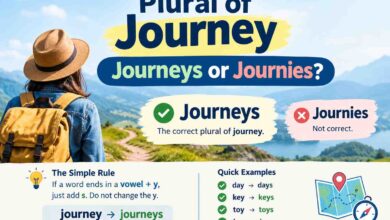 Plural of Journey: Journeys or Journies?