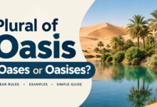 Plural of Oasis: 7 Clear Examples & Easy Grammar Rules