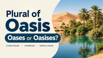 Plural of Oasis: 7 Clear Examples & Easy Grammar Rules