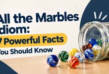 All the Marbles Idiom