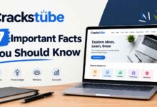 Crackstube: 7 Important Facts You Should Know